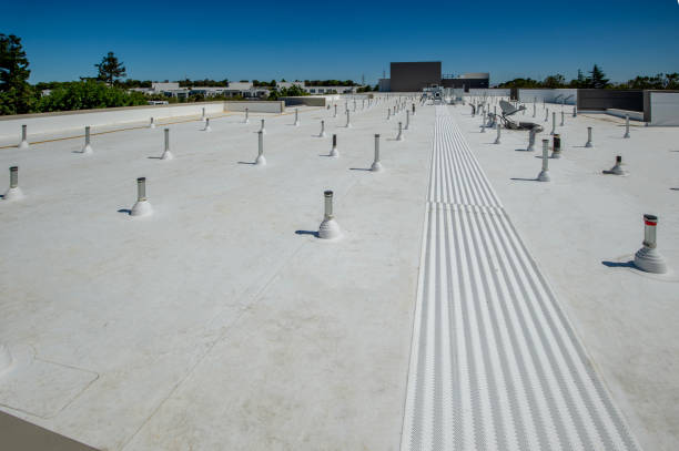 Waterproofing in Dillon, SC